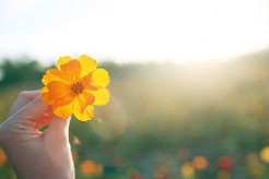 做你自己,不要刻意去取悦别人